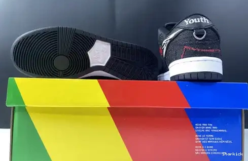 Youth Nike Wasted Low DD8386-001 SB Dunk - 0706